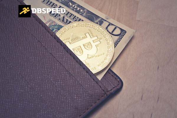 코인 주제 세분화에 따른 DB 분류 체계